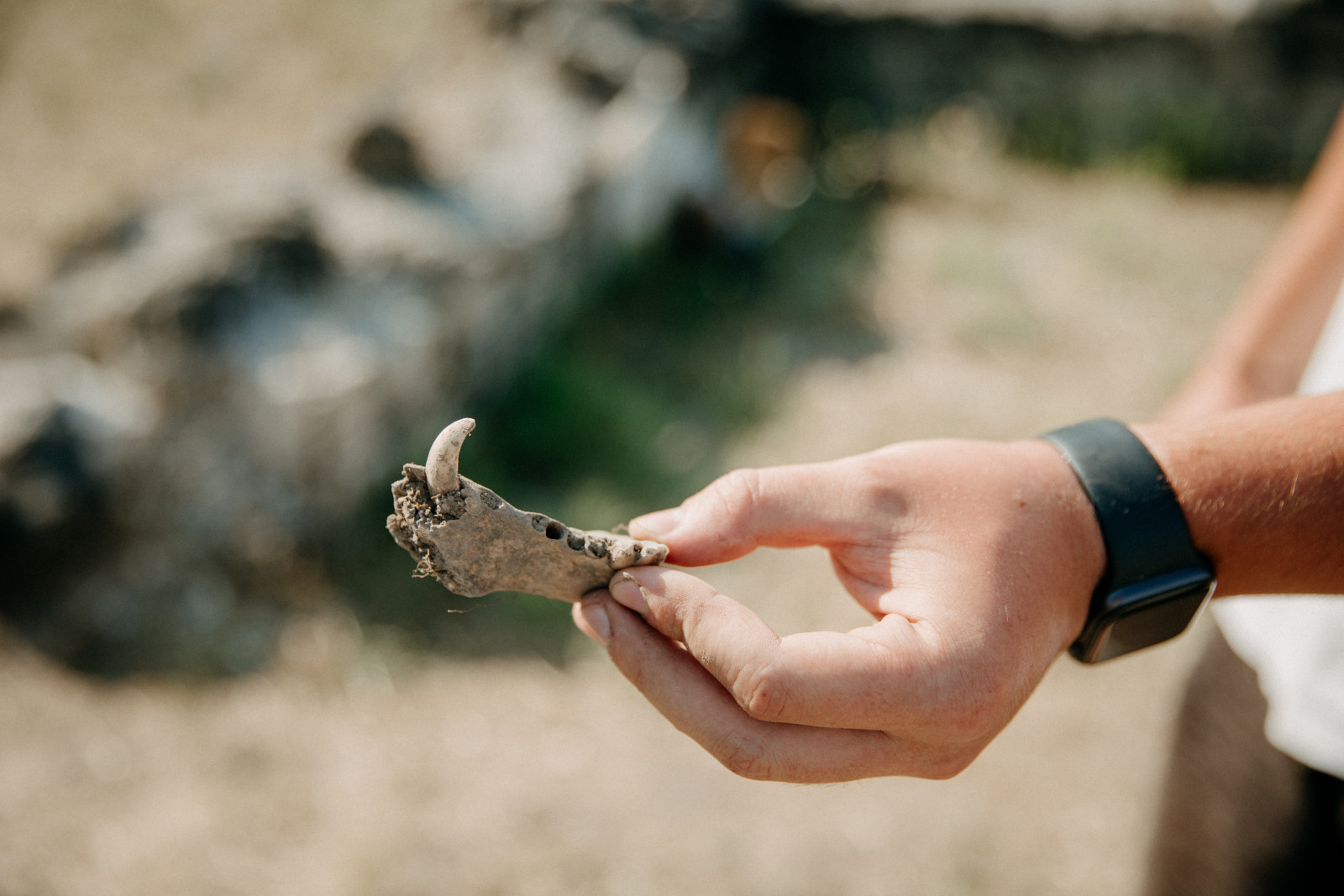 archeologický výskum iža 2022 (foto Barbora Likavská)