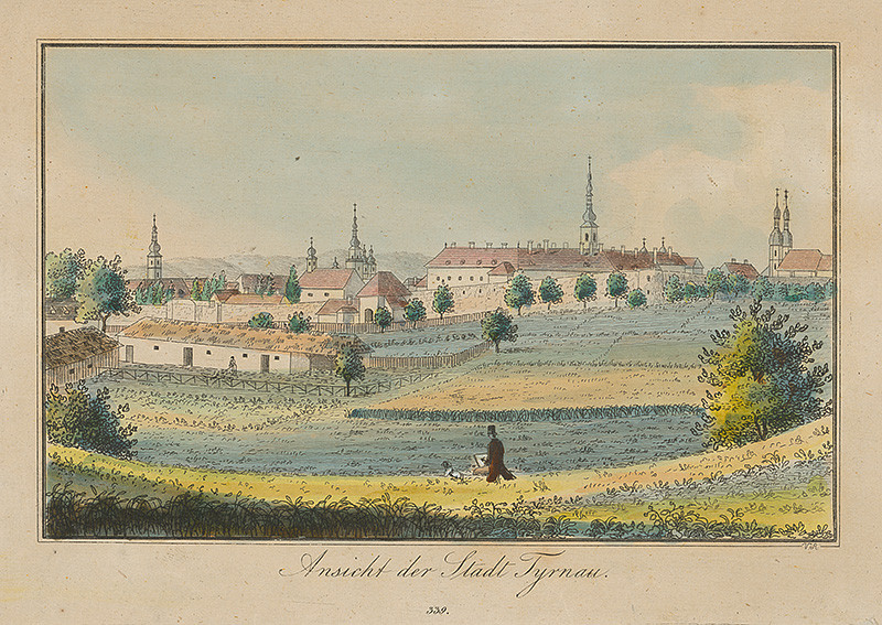 Johann Vincenz Reim: Pohľad na Trnavu