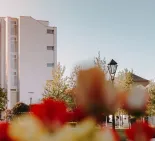 trnavská univerzita v trnave
