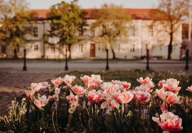 Trnavská univerzita (foto Barbora Likavská)