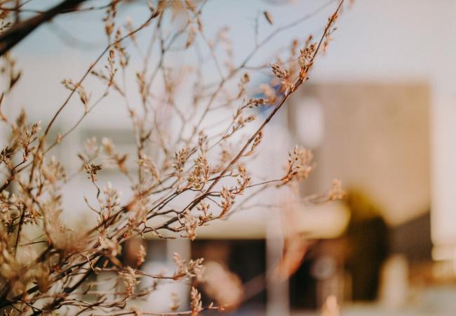 trnavská univerzita veľká noc 2020