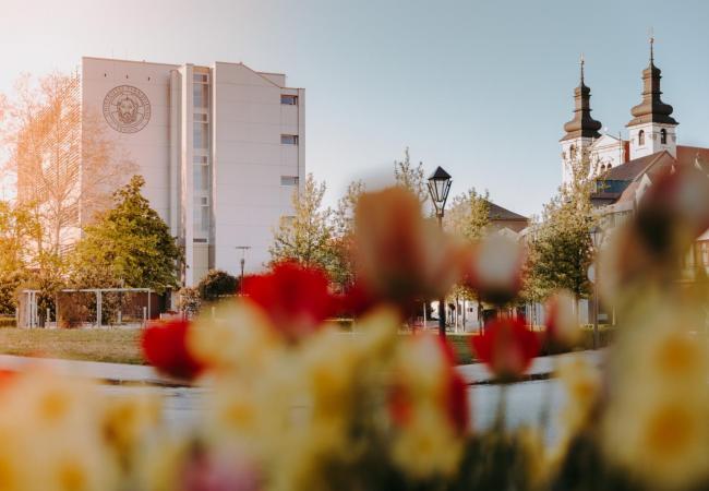Trnavská univerzita v Trnave