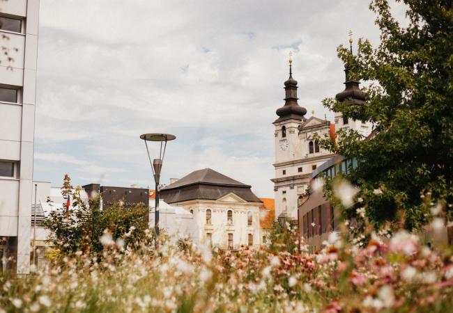 trnavská univerzita truni leto 2020, foto Barbora Likavská