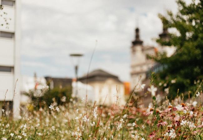 trnavská univerzita truni leto 2020, foto Barbora Likavská