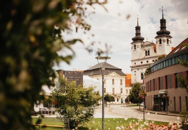 trnavská univerzita truni leto 2020