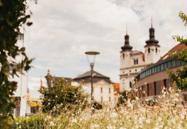 trnavská univerzita truni leto 2020, foto Barbora Likavská