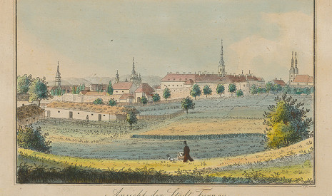 Johann Vincenz Reim: Pohľad na Trnavu