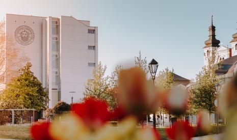 trnavská univerzita v trnave