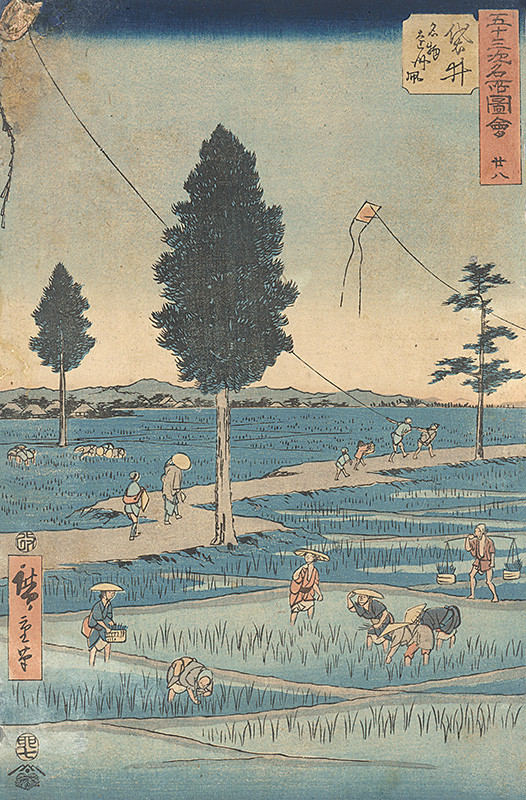 Púšťanie drakov nad ryžovými poliami (28. list zo série 53 známych pohľadov zo západného Japonska)