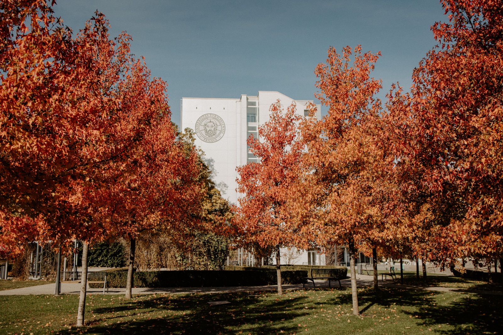 Trnava (photo by Barbora Likavska)