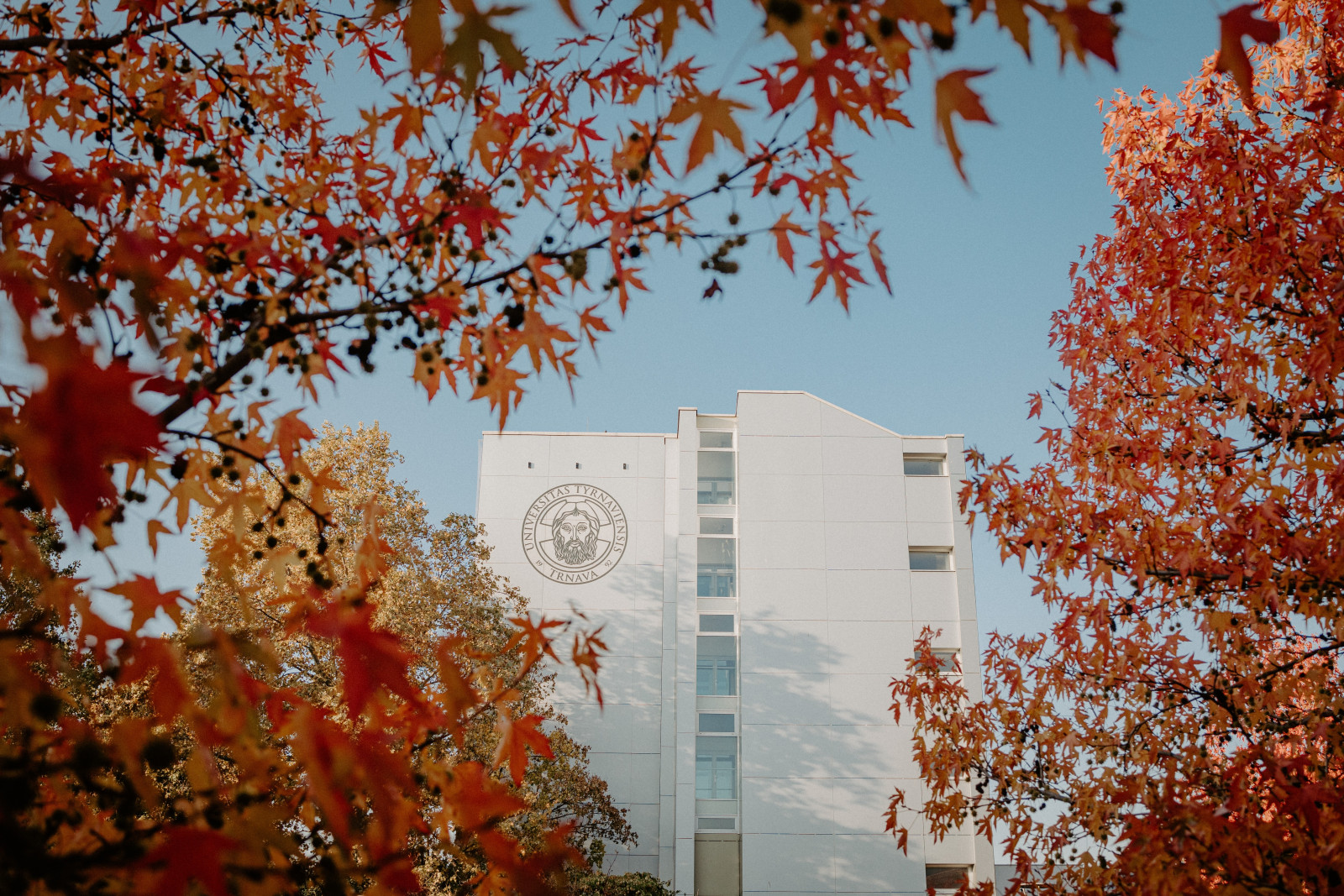 trnava university