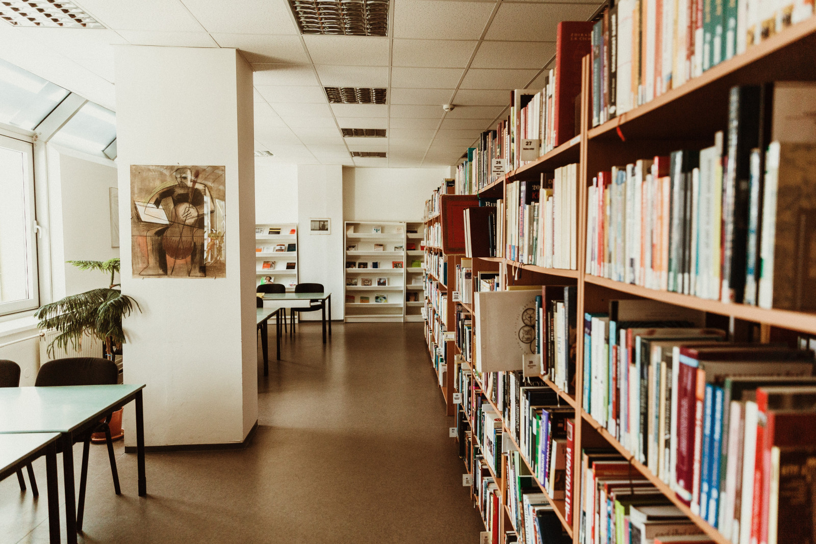 trnava library (barbora likavská) truni knižnica 